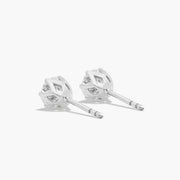 Scallop Basket Lab-Grown Diamond Stud Earrings in 14K White or Yellow Gold – D–E Color, VS1–VVS2 Clarity